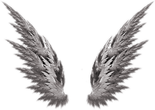 Wings 🏵asuna.yuuki🏵 - ücretsiz png