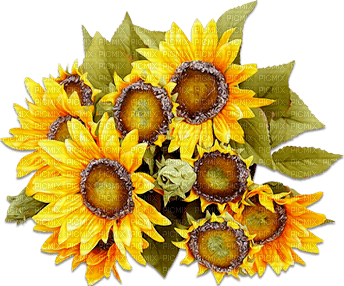 soave deco flowers sunflowers yellow green brown - besplatni png