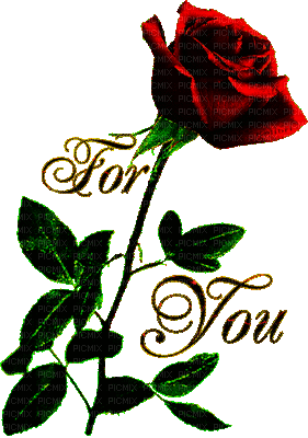 rose for you - Animovaný GIF zadarmo