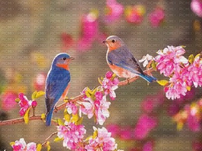 Kaz_Creations Backgrounds Background Birds - 無料png
