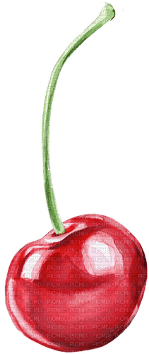 watercolor cherry Bb2 - zadarmo png