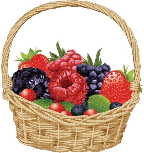 Früchte, Beeren, Korb - Zdarma animovaný GIF
