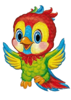 Papagei - Free PNG