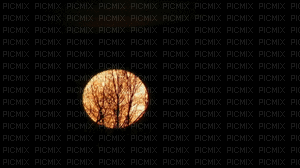 luna - Darmowy animowany GIF
