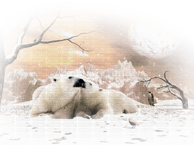 Kaz_Creations Paysage Scenery Winter Polar Bears - gratis png