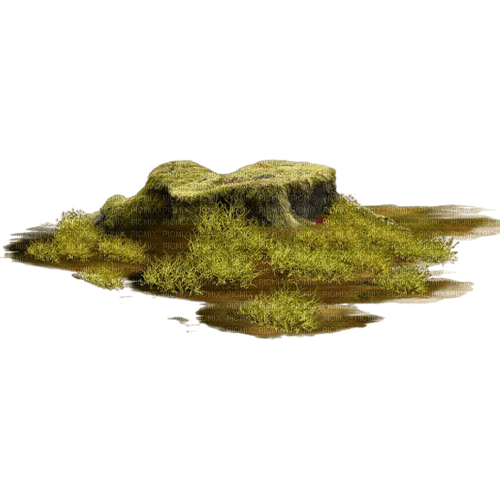 grass - 免费PNG