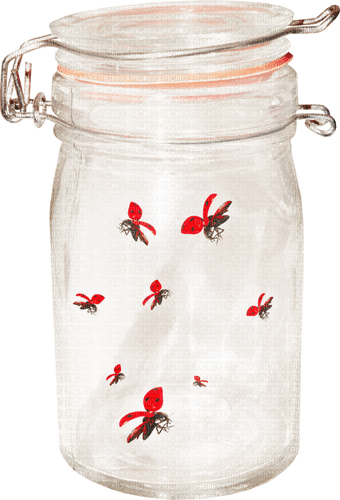 Ladybugs.Red.Black - ingyenes png