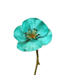fleur turquoise - Free PNG