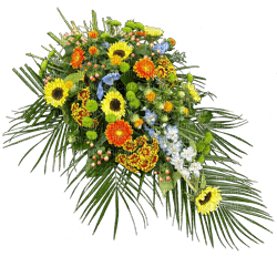Kaz_Creations Deco Flowers Flower Spray Colours - ingyenes png