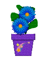 Blue Daisies in Star Pot - 無料のアニメーション GIF