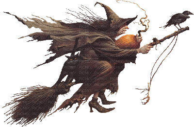 witch halloween broom - Darmowy animowany GIF