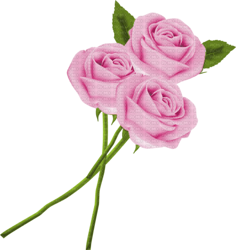 roses pink deco png - gratis png