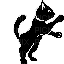 black cat - Бесплатный анимированный гифка