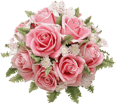 rose fleur deko Adam  rose - δωρεάν png