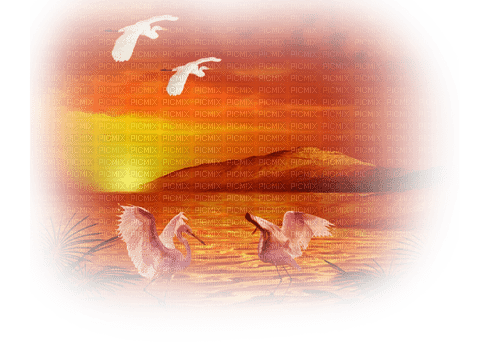 landskap-fåglar-röd---landscape-bird-red - png gratis