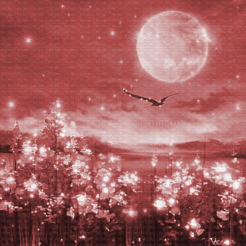 Y.A.M._Landscape background red - Gratis geanimeerde GIF
