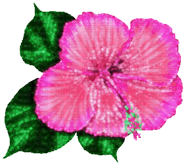 Animated.Flower.Pink - By KittyKatLuv65 - Ilmainen animoitu GIF
