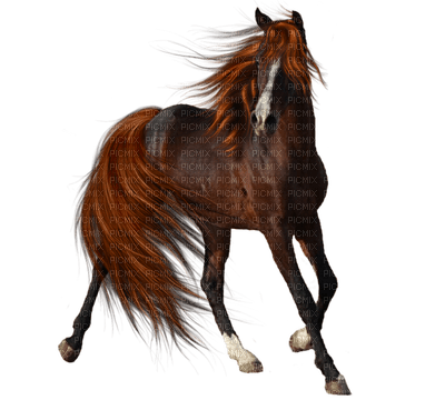 Cheval ** - 無料png