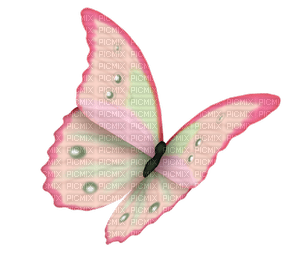 Butterfly pink - ingyenes png
