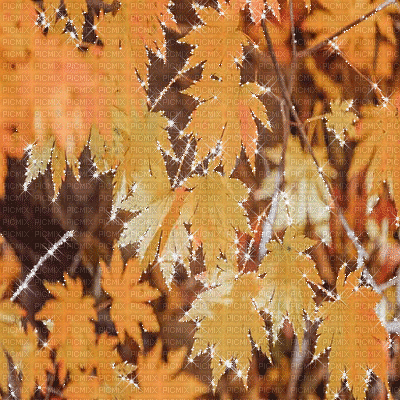kikkapink autumn animated background - Gratis geanimeerde GIF