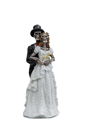 skeleton married couple - PNG gratuit