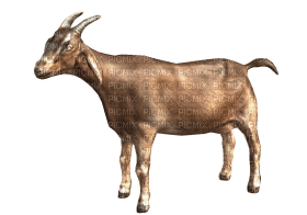 Kaz_Creations Goat - PNG gratuit
