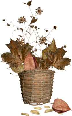 autumn - безплатен png