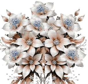 fiore ornamentale - ingyenes png