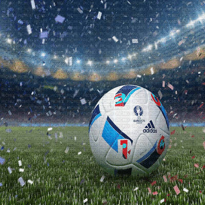 stadion euro 2016 - Free animated GIF