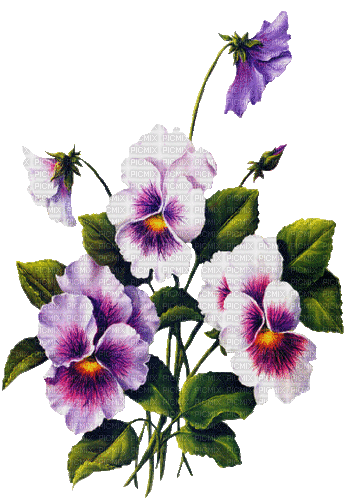 Frühling, Blumen - 無料のアニメーション GIF