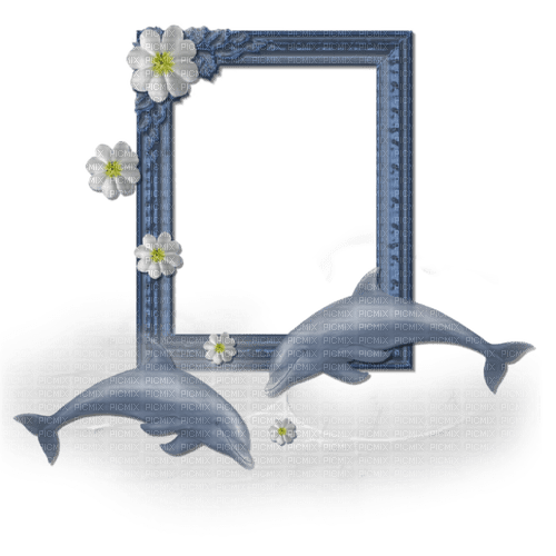 dolceluna frame dolphins dolphin summer blue - png gratis