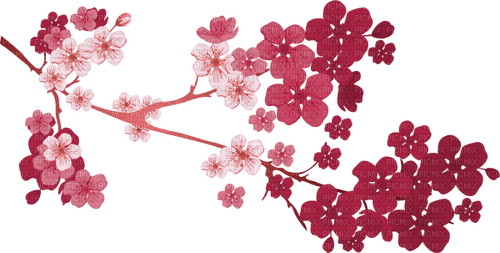 plum blossom Bb2 - бесплатно png