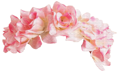 pink-flower - nemokama png