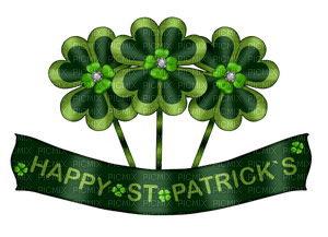 Kaz_Creations Deco St.Patricks Day Text - zadarmo png
