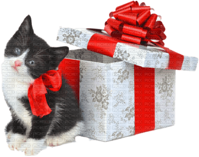 Christmas Cat - kostenlos png