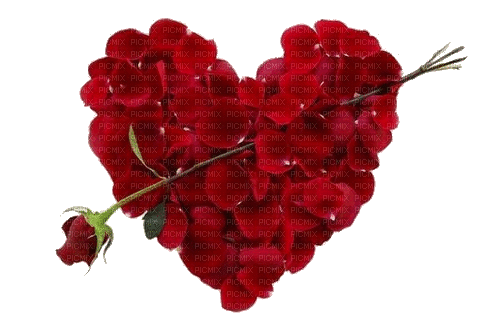 herz heart rose love - Безплатен анимиран GIF