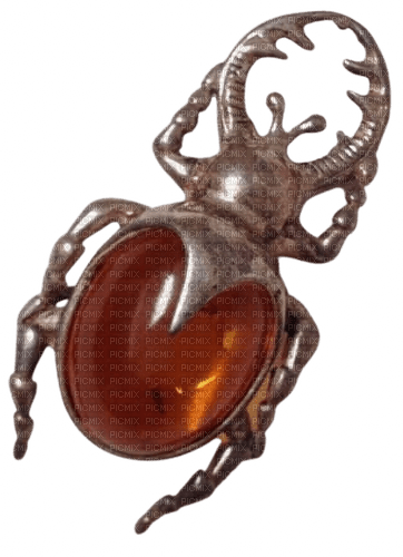 amber bettle - δωρεάν png