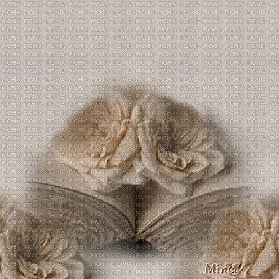 minou-beige-background-book and roses-Fond-livre et roses-beige-bakgrund-bok och rosor - 免费PNG