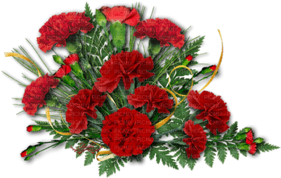 fleurs/decoration - ilmainen png