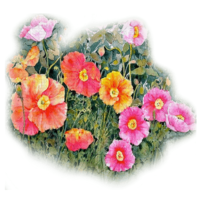 flores  dubravka4 - ilmainen png