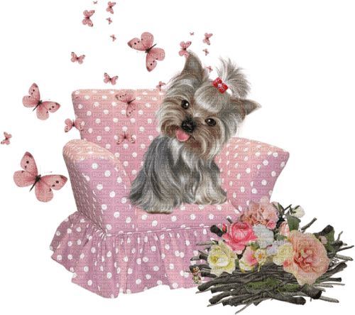 dog on pink chair - png gratis
