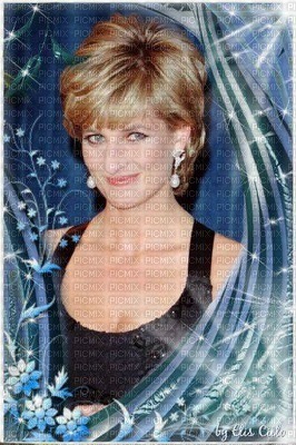 Princess Diana - png grátis