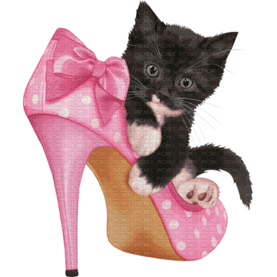 Kaz_Creations Animals Cats Cat Kitten - Free PNG