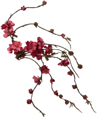 fleur rouge.Cheyenne63 - png grátis