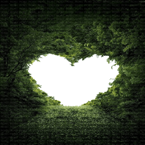 forest heart background - png grátis