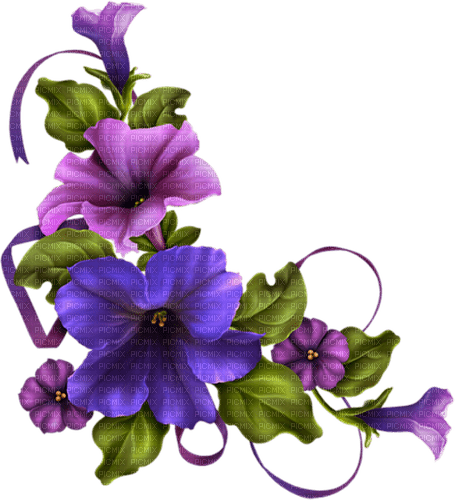 Corner. Flower. Purple. Leila - zdarma png