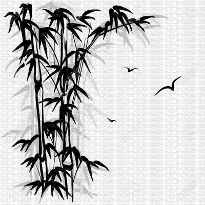 chantalmi bambou  noir - besplatni png