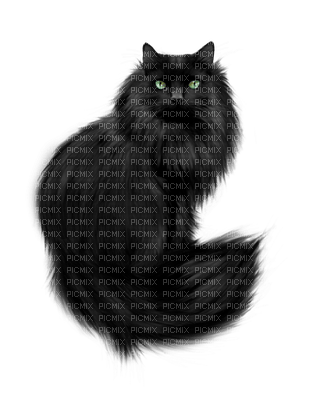 Black Cat - PNG gratuit