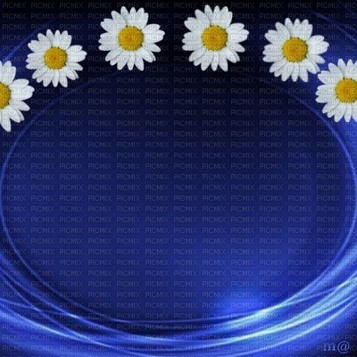 bg-blue-and flowers - bezmaksas png