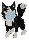 Petz Cat in a Mask - ücretsiz png
